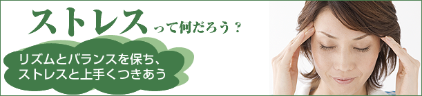 ý 2: ȥ쥹äƲ